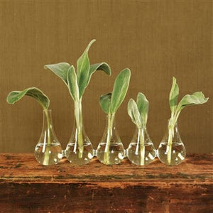 Quintet Glass Vase - Lrg