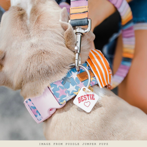 Bestie Pet Tag