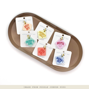 Bestie Pet Tag