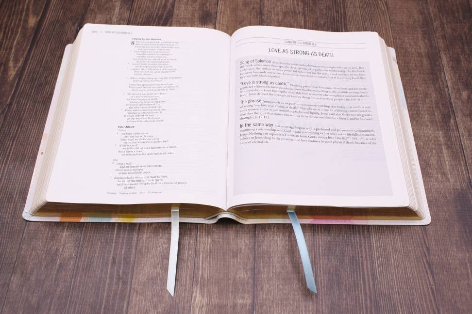The Jesus Bible Artist Edition ESV Multi-color/Teal