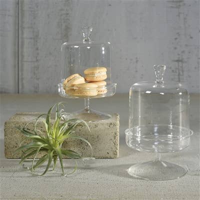 Vera Glass Dome & Pedestal