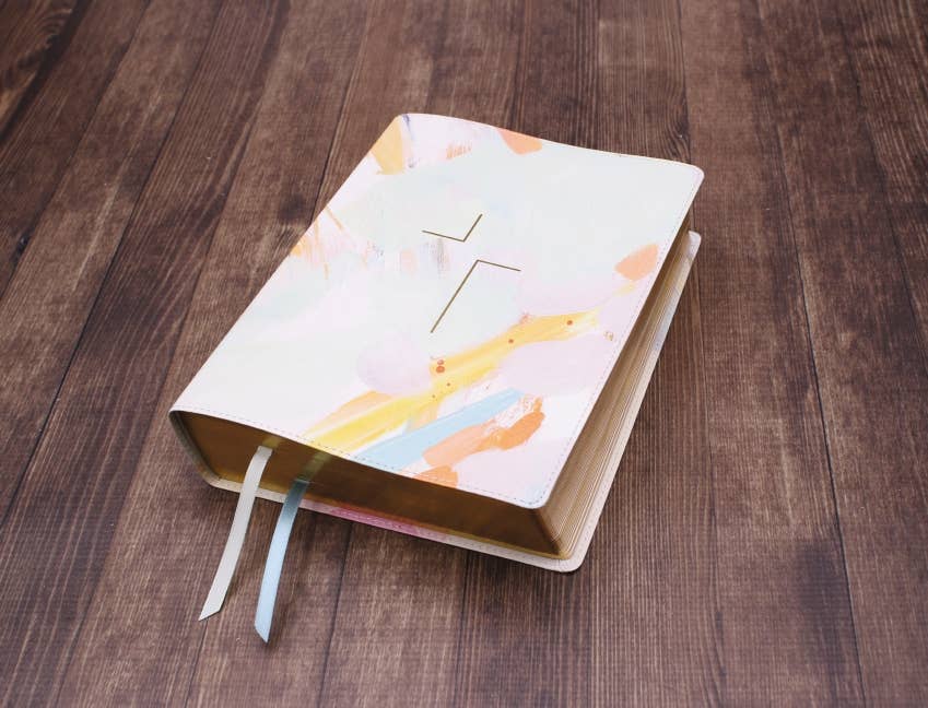 The Jesus Bible Artist Edition ESV Multi-color/Teal