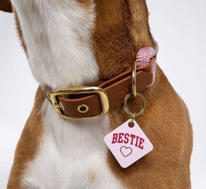 Bestie Pet Tag