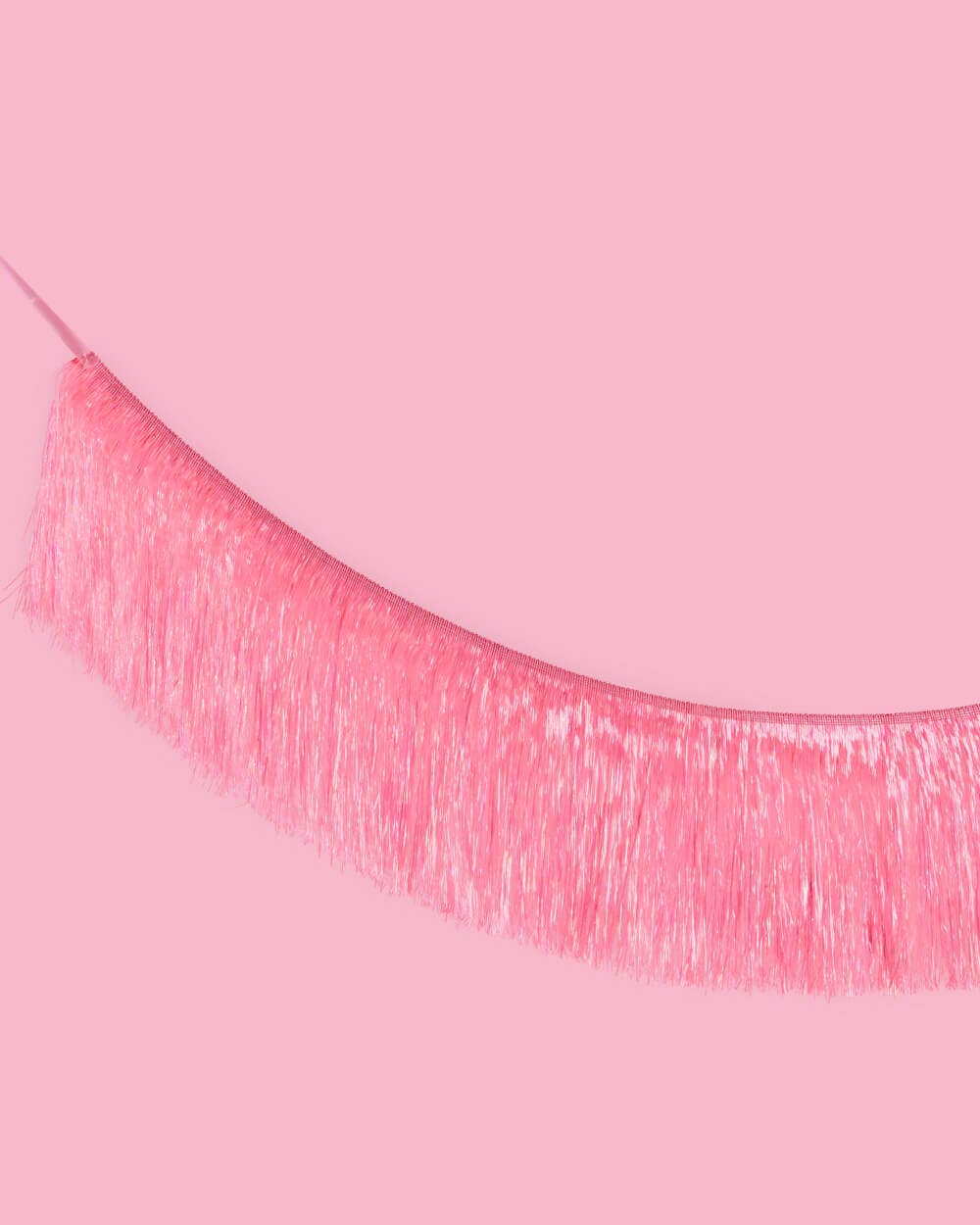 Pink Fringe Party Banner, Decor, Bday Supplies, Bachelorette