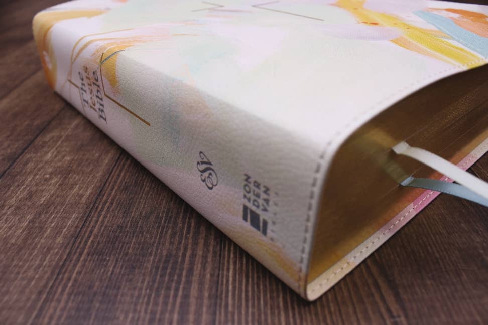 The Jesus Bible Artist Edition ESV Multi-color/Teal