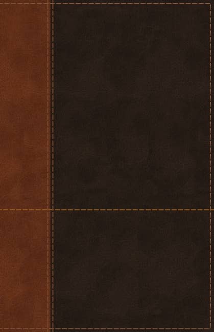 NIV Personal Size Bible, Large Print Leathersoft, Teal/Brown