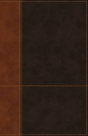NIV Personal Size Bible, Large Print Leathersoft, Teal/Brown