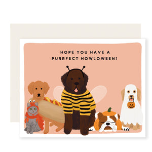 Purrfect Howloween | Dogs & Cats Animal Halloween Fall Card