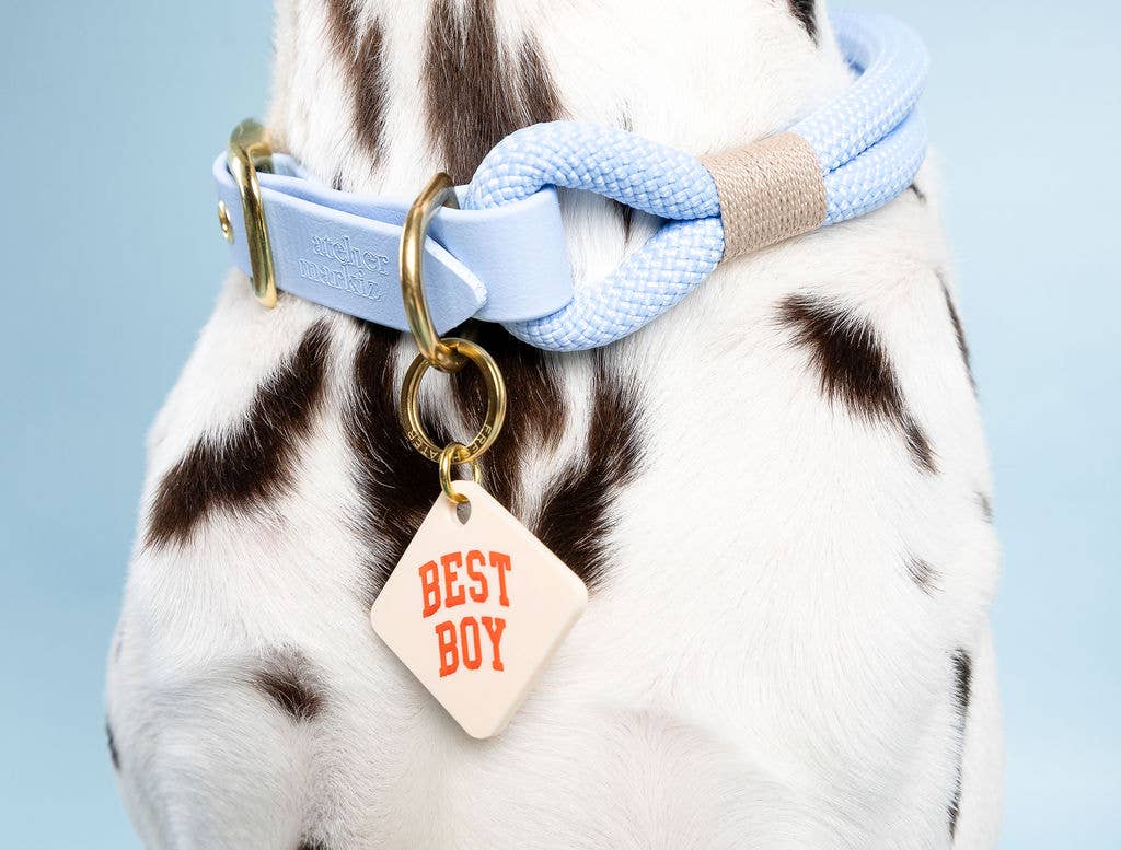 Best Boy Pet Tag