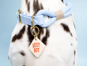 Best Boy Pet Tag