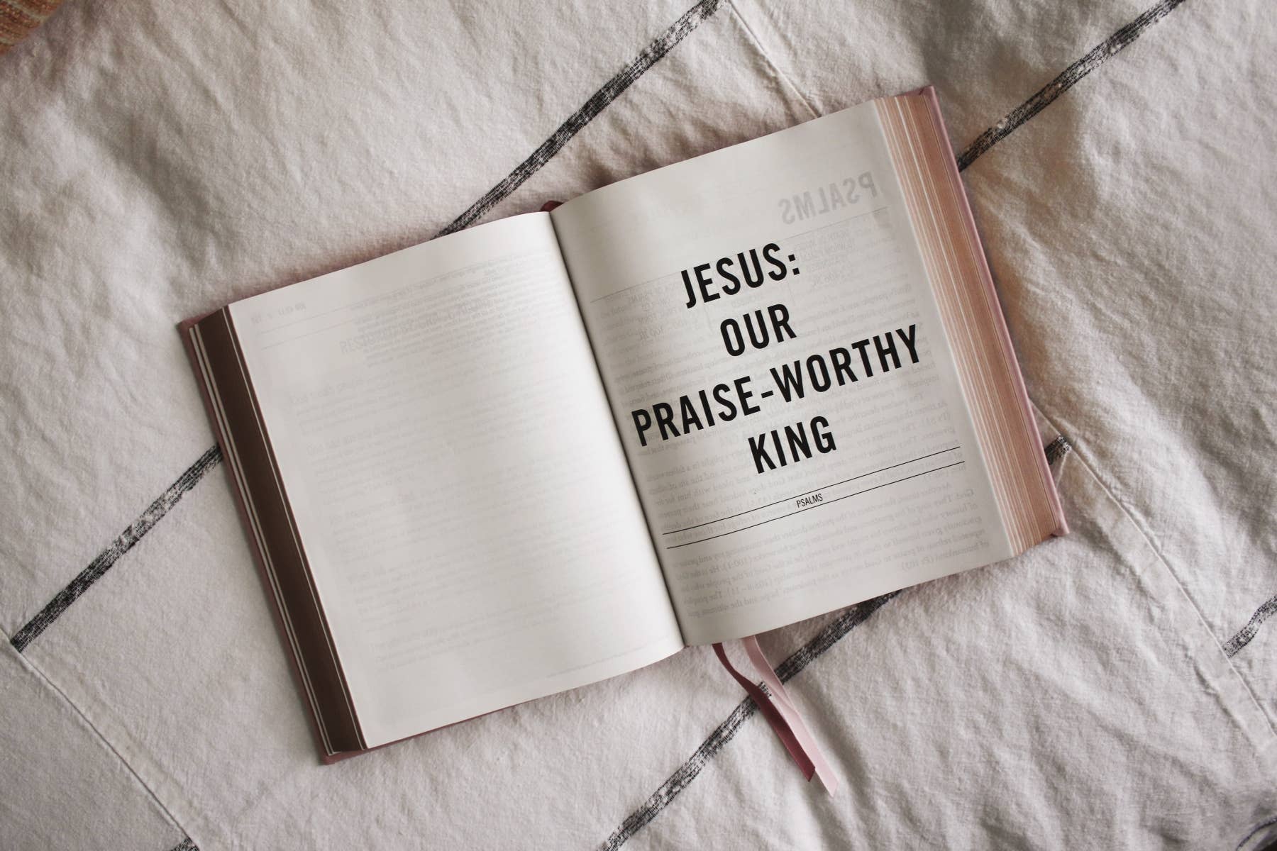 ESV The Jesus Bible Leathersoft Over Board Pink