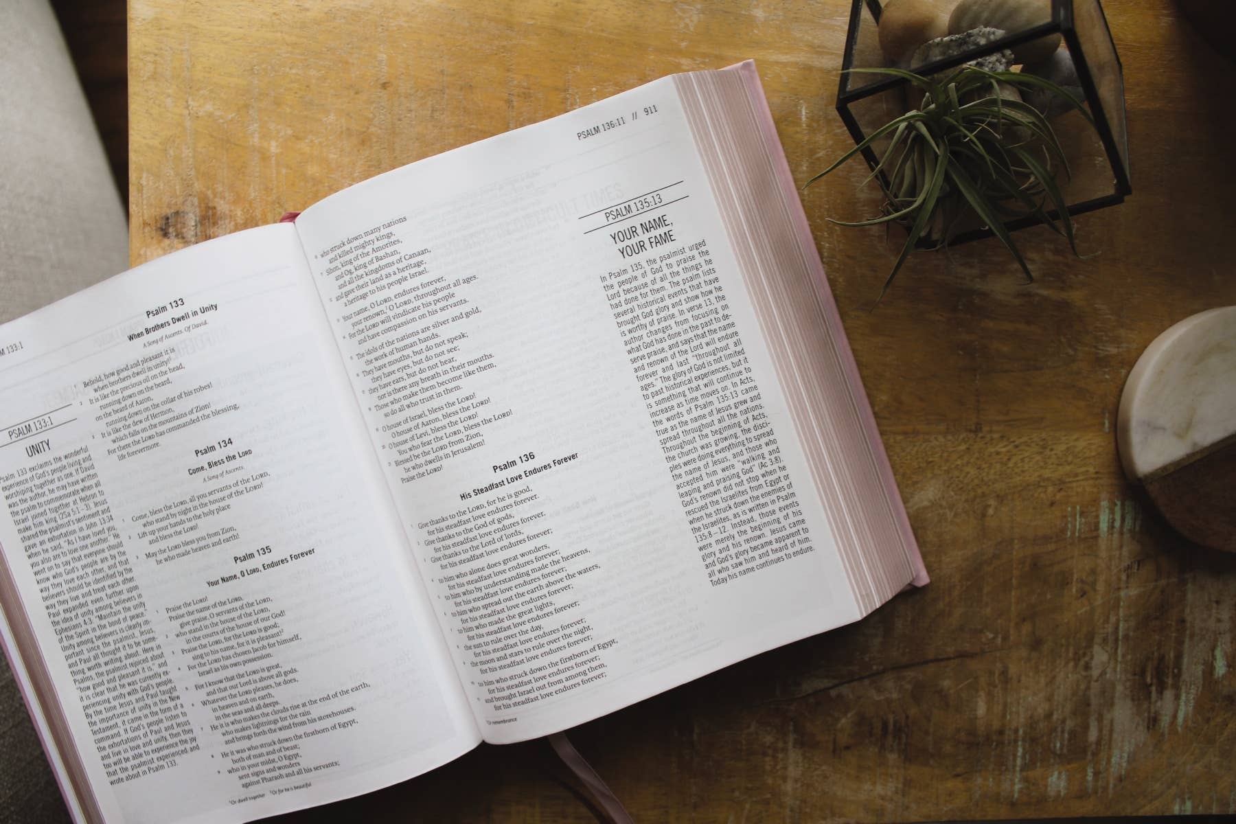 ESV The Jesus Bible Leathersoft Over Board Pink