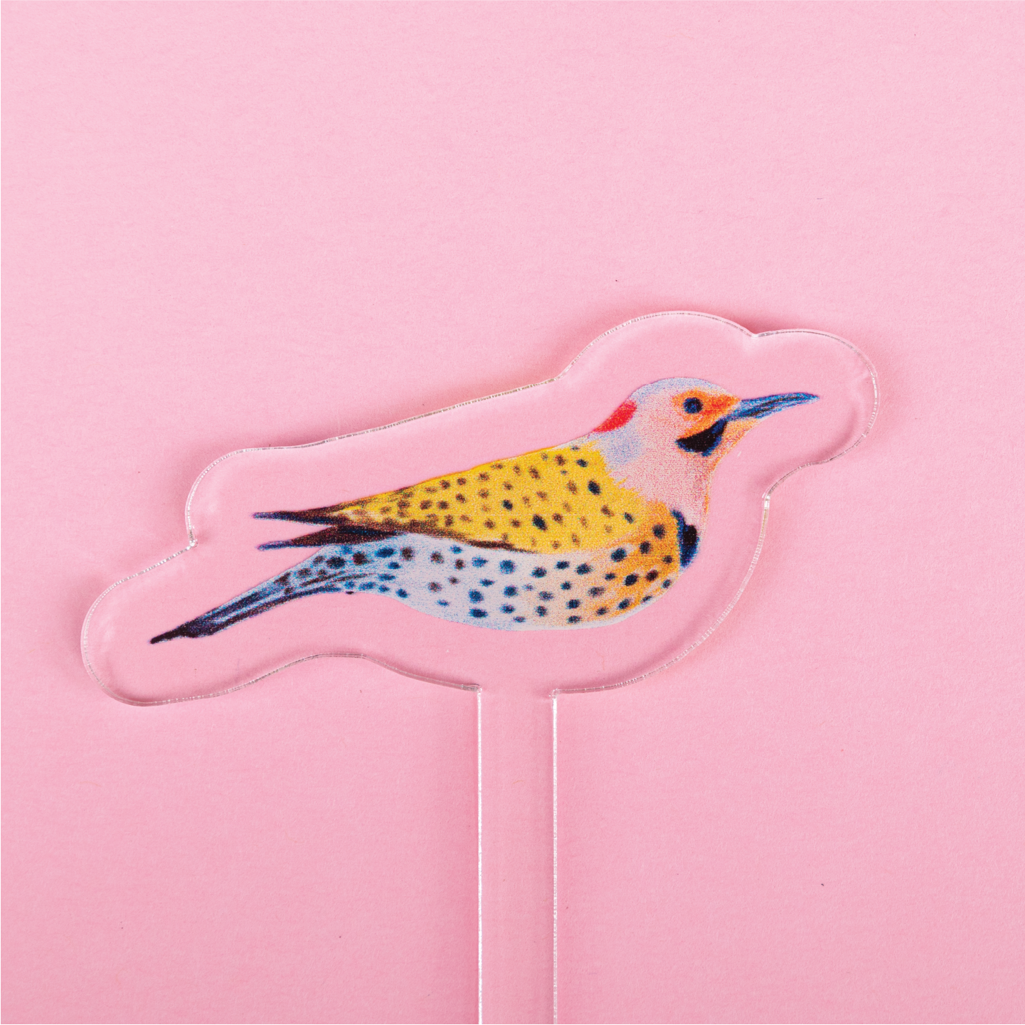 WS -Stir 101-200 (set of 4 per design) $2.50 / $5