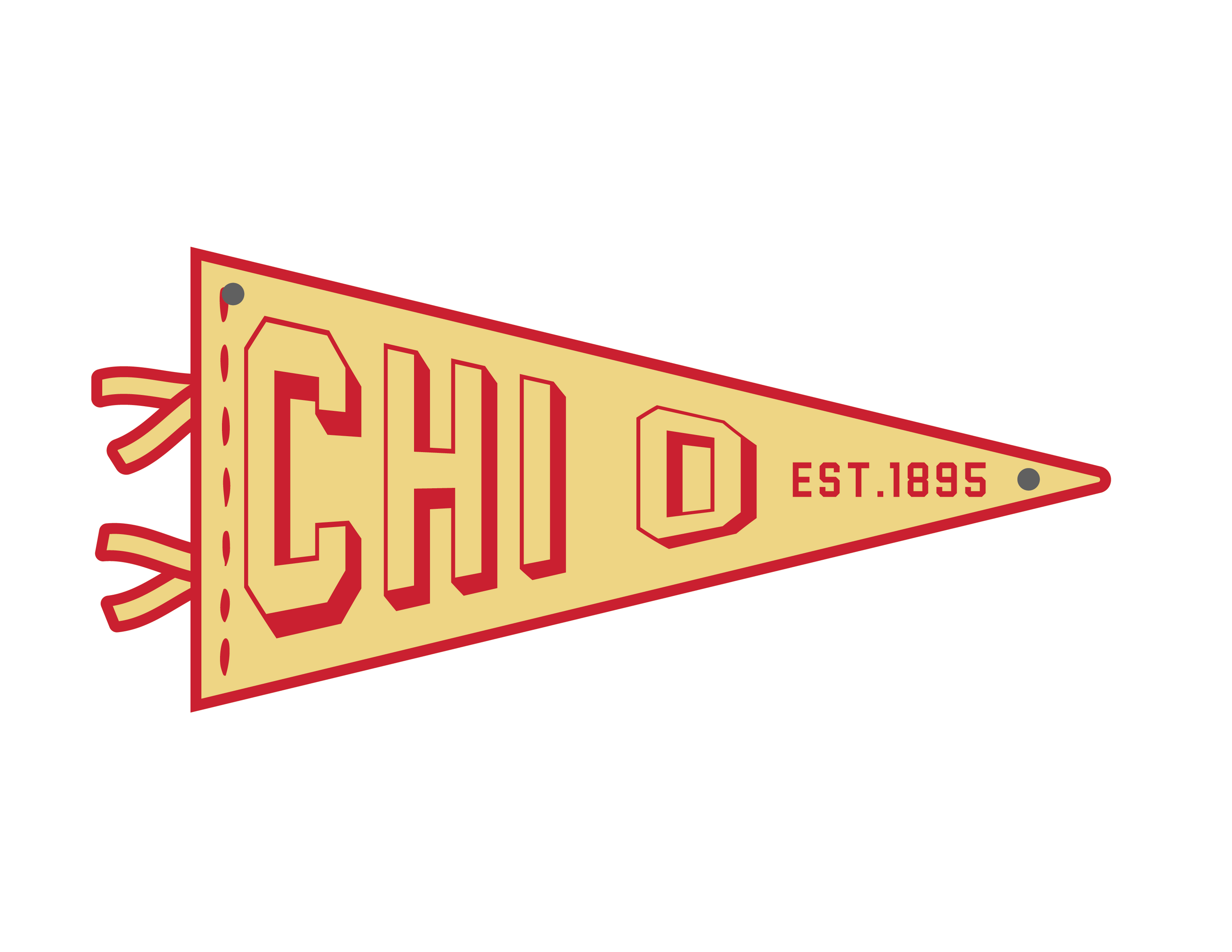 Sorority Acrylic Pennant Flag Door Hangers