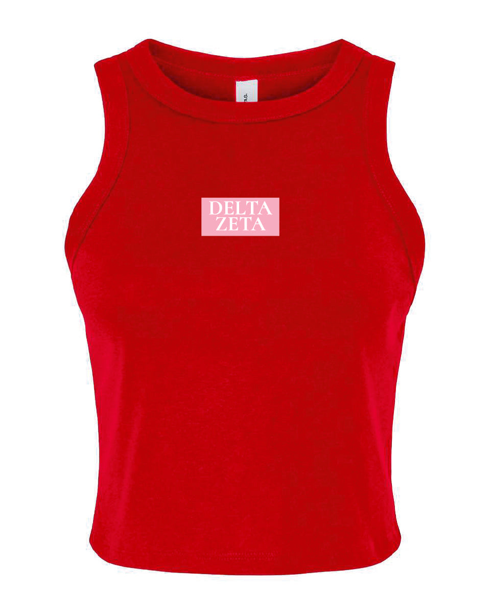 WS - Delta Zeta Daily Tanks $20 / $40
