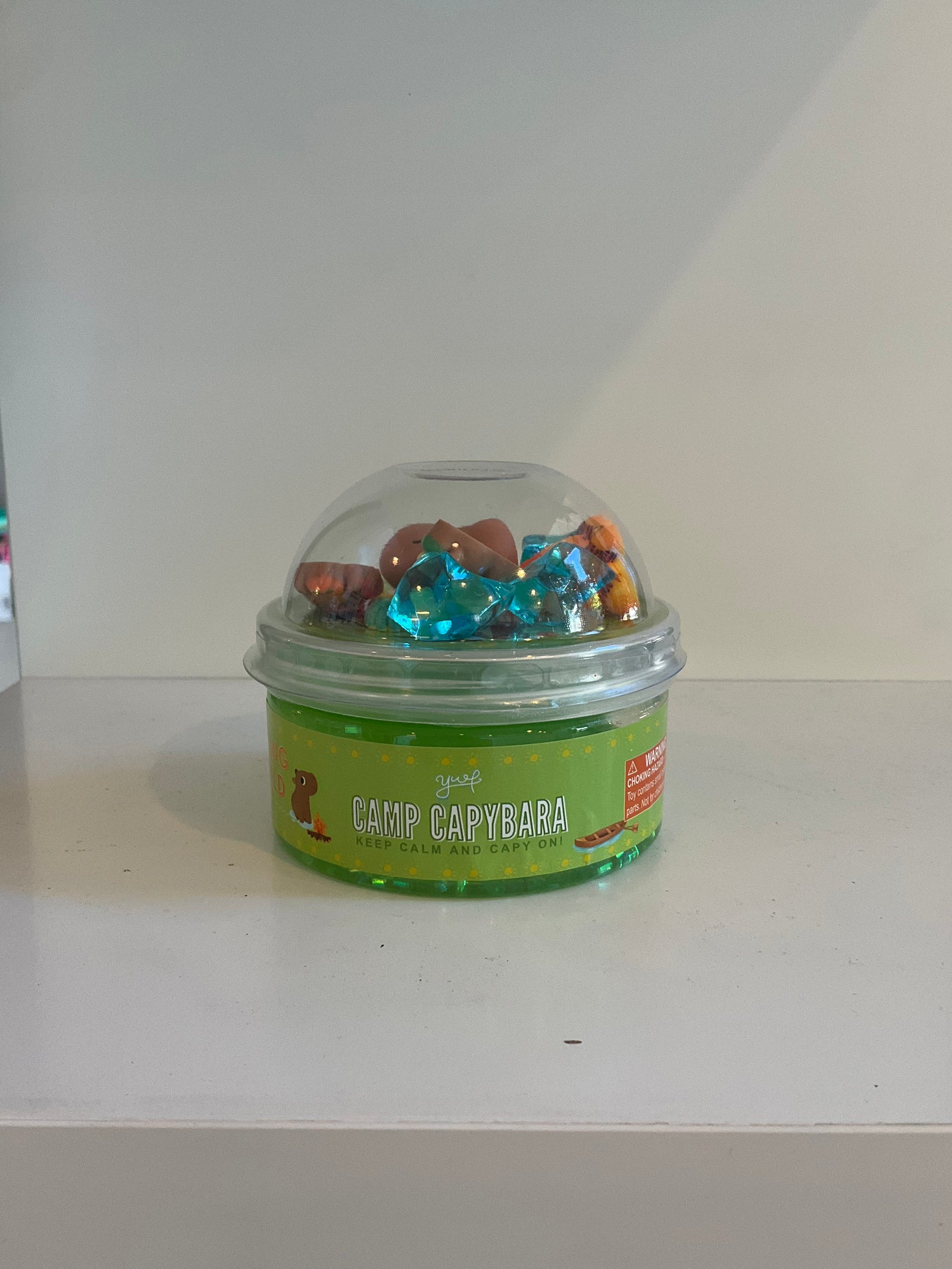 Camp Capybara Slime