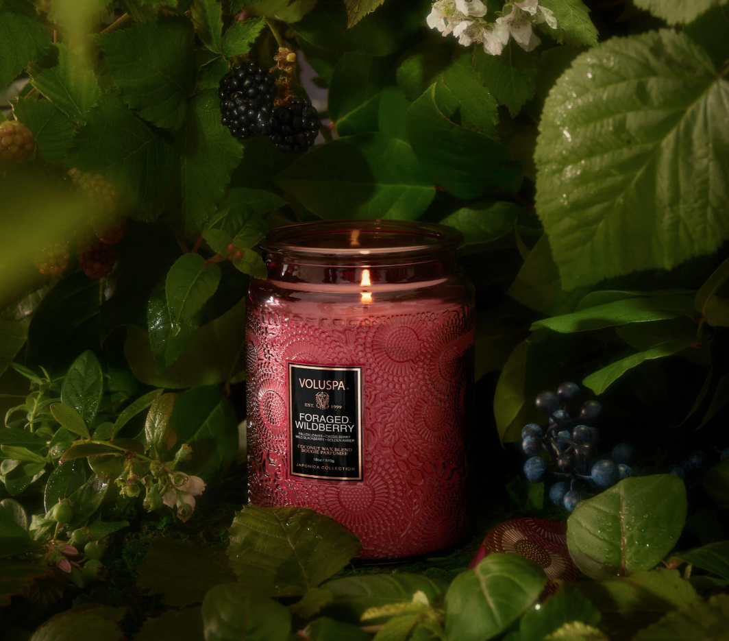 FORAGED WILDBERRY Large Jar Candle