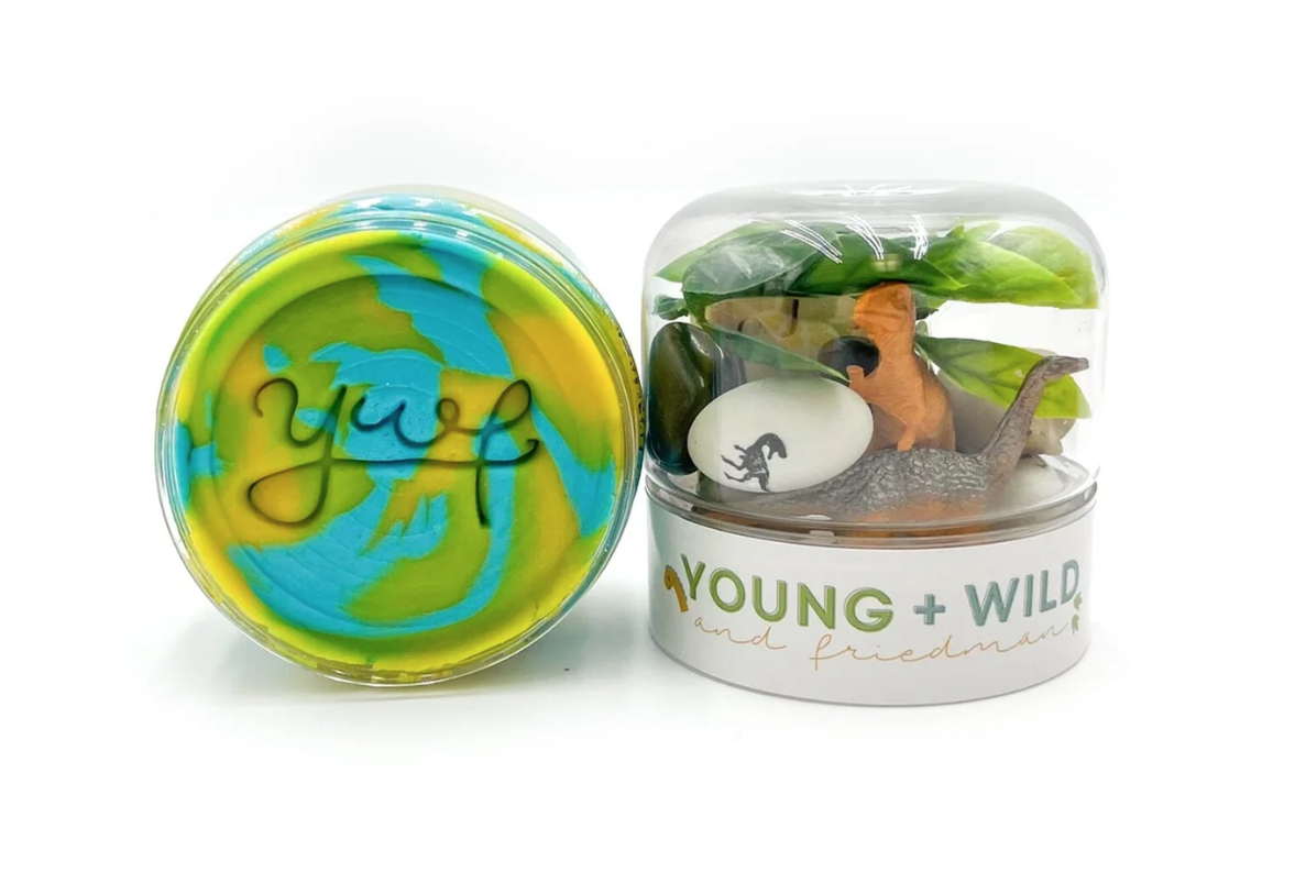 Dinosaur Grab & Go Dough Jar