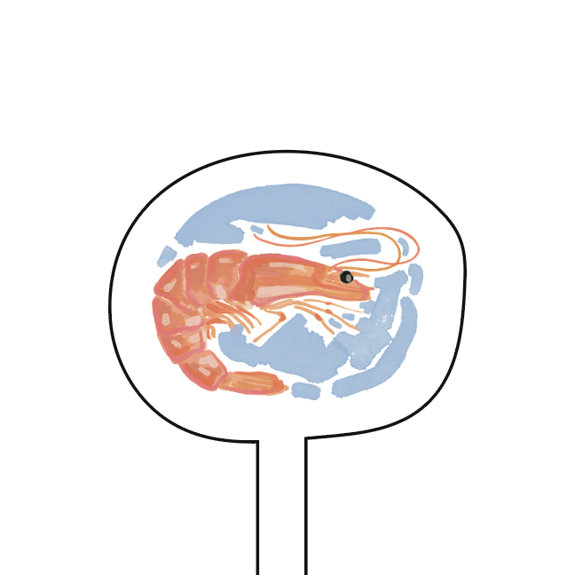 WS - Shrimp Acrylic Stir Stick