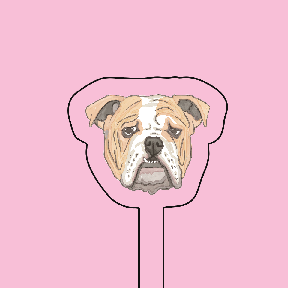 WS - Bulldog Acrylic Stir Stick