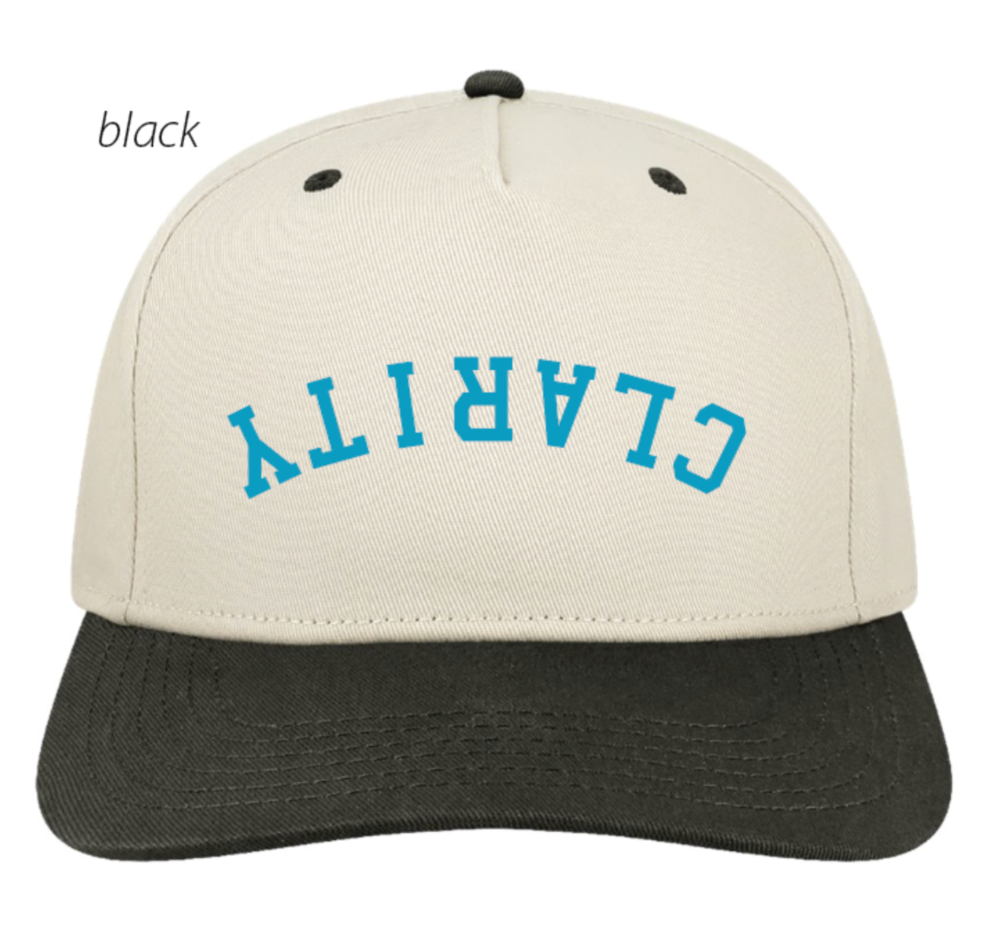 Clarity 3D embroidered hat (preorder)