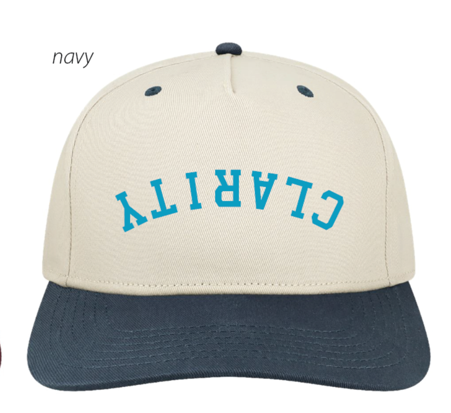 Clarity 3D embroidered hat (preorder)