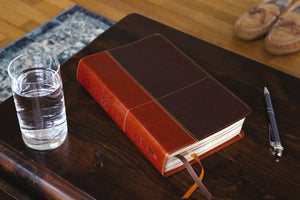NIV Personal Size Bible, Large Print Leathersoft, Teal/Brown