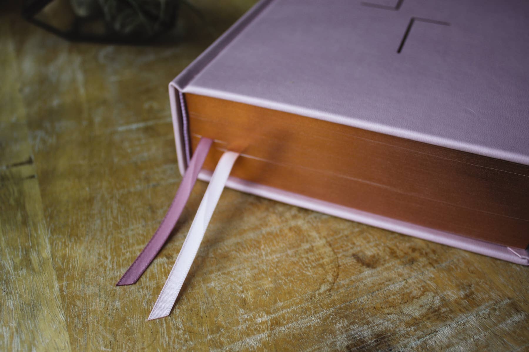 ESV The Jesus Bible Leathersoft Over Board Pink