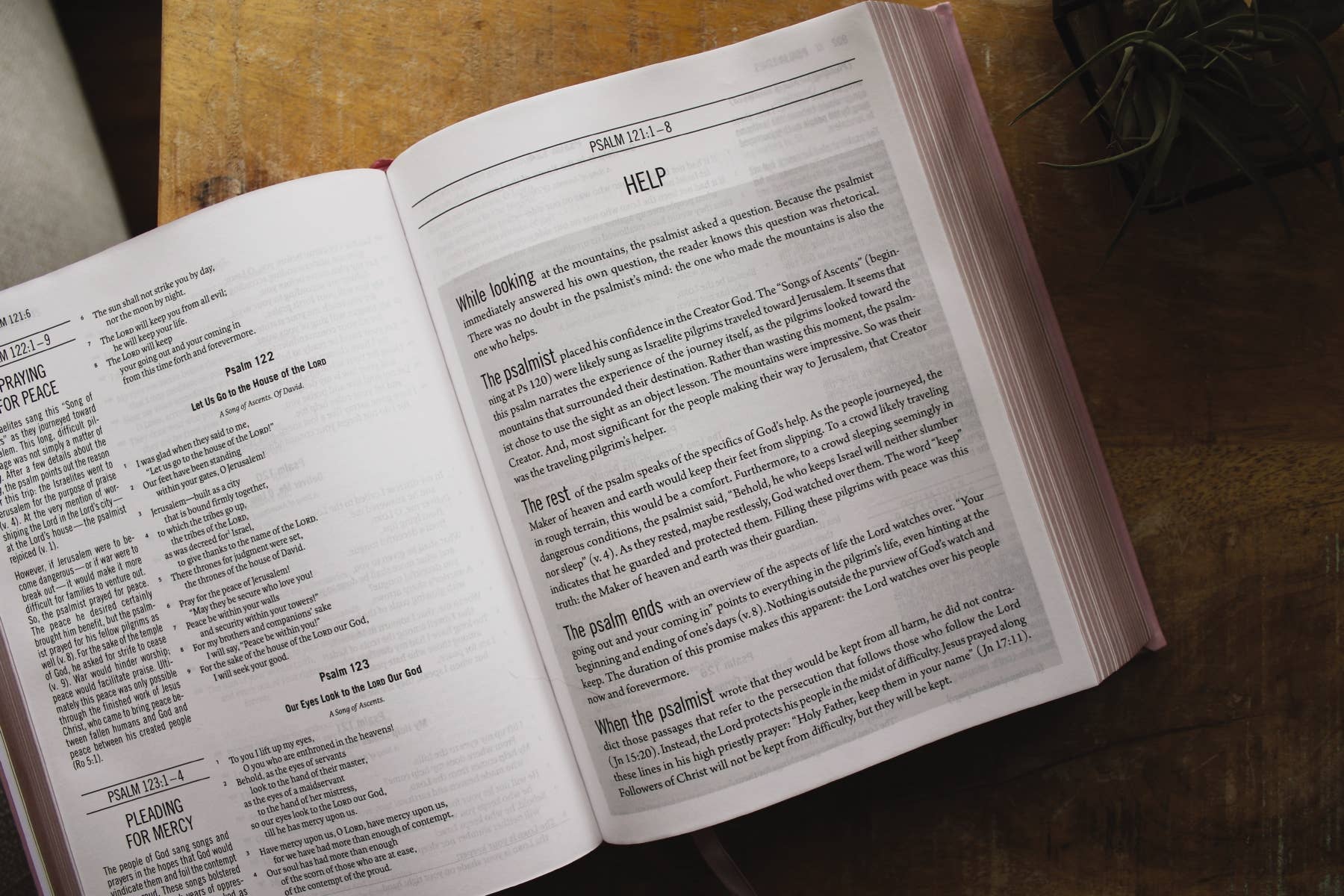 ESV The Jesus Bible Leathersoft Over Board Pink