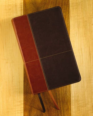 NIV Personal Size Bible, Large Print Leathersoft, Teal/Brown