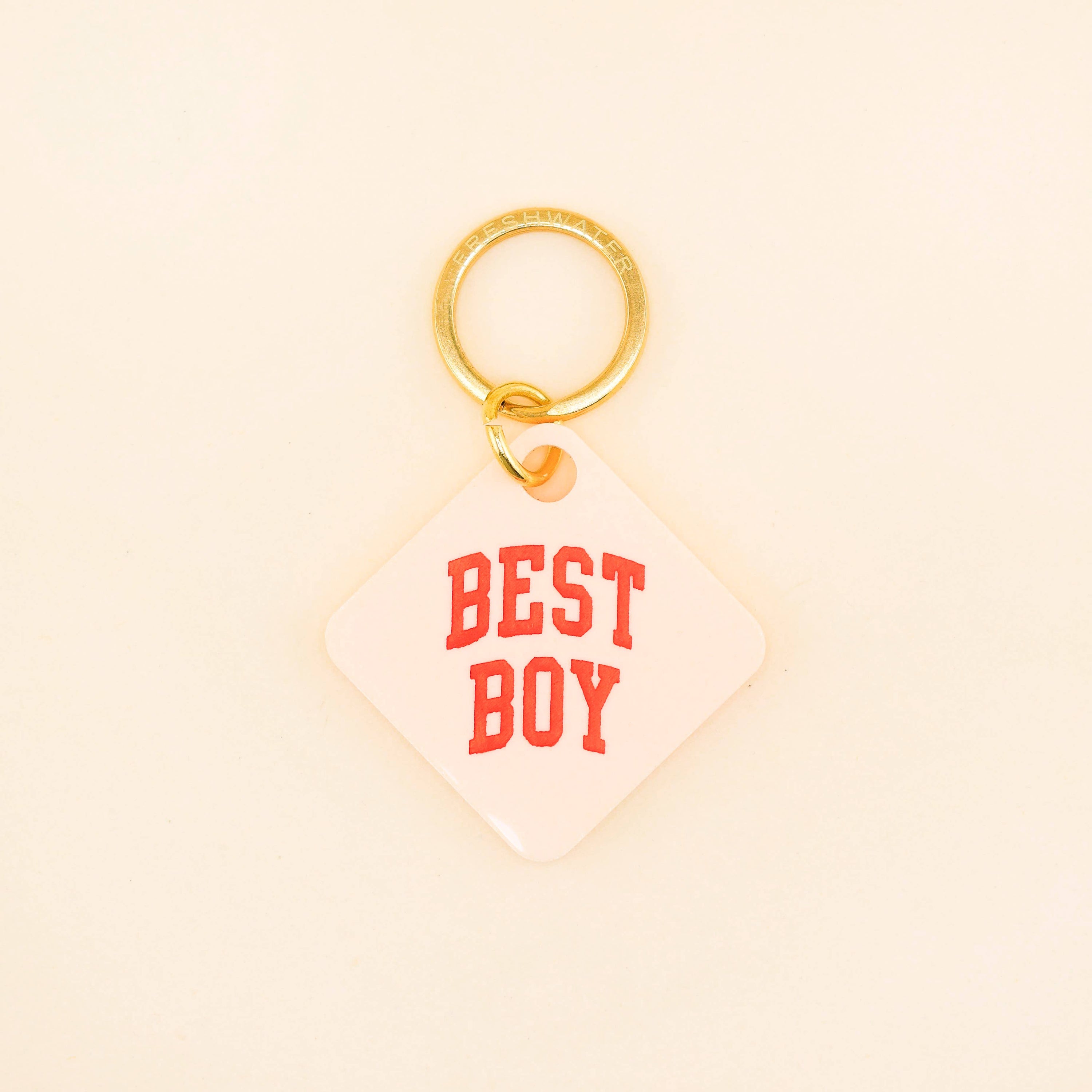 Best Boy Pet Tag