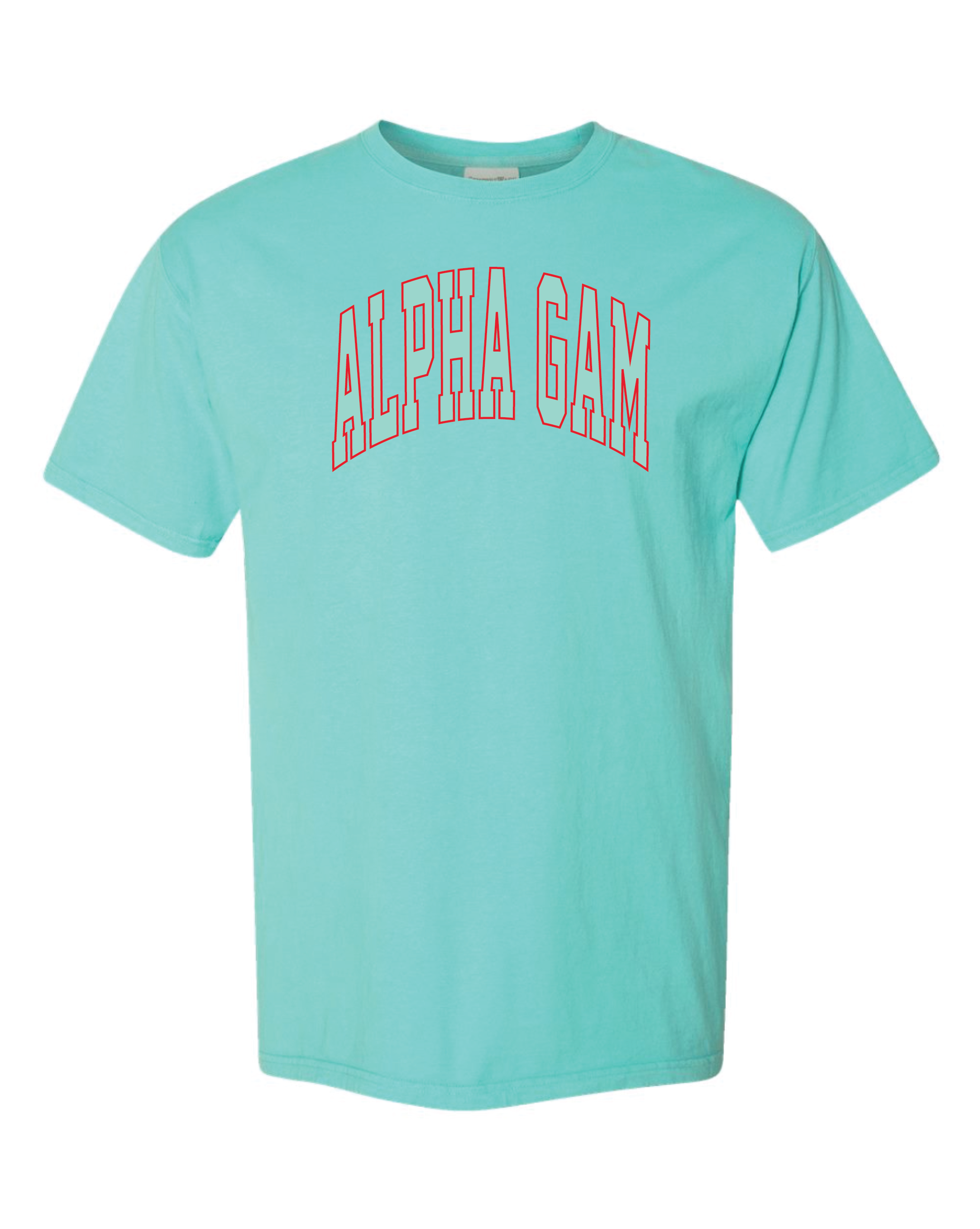 Alpha Gam Varsity Letters Tshirt