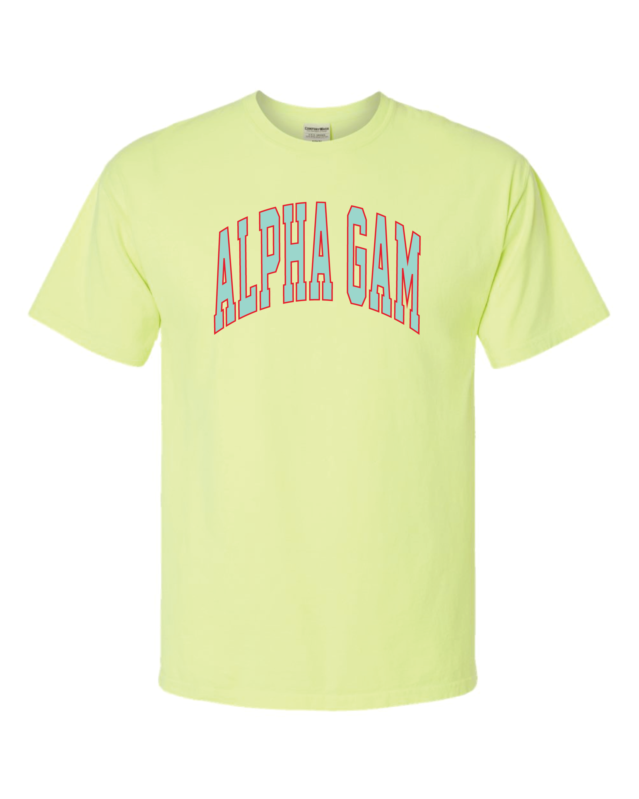 Alpha Gam Varsity Letters Tshirt