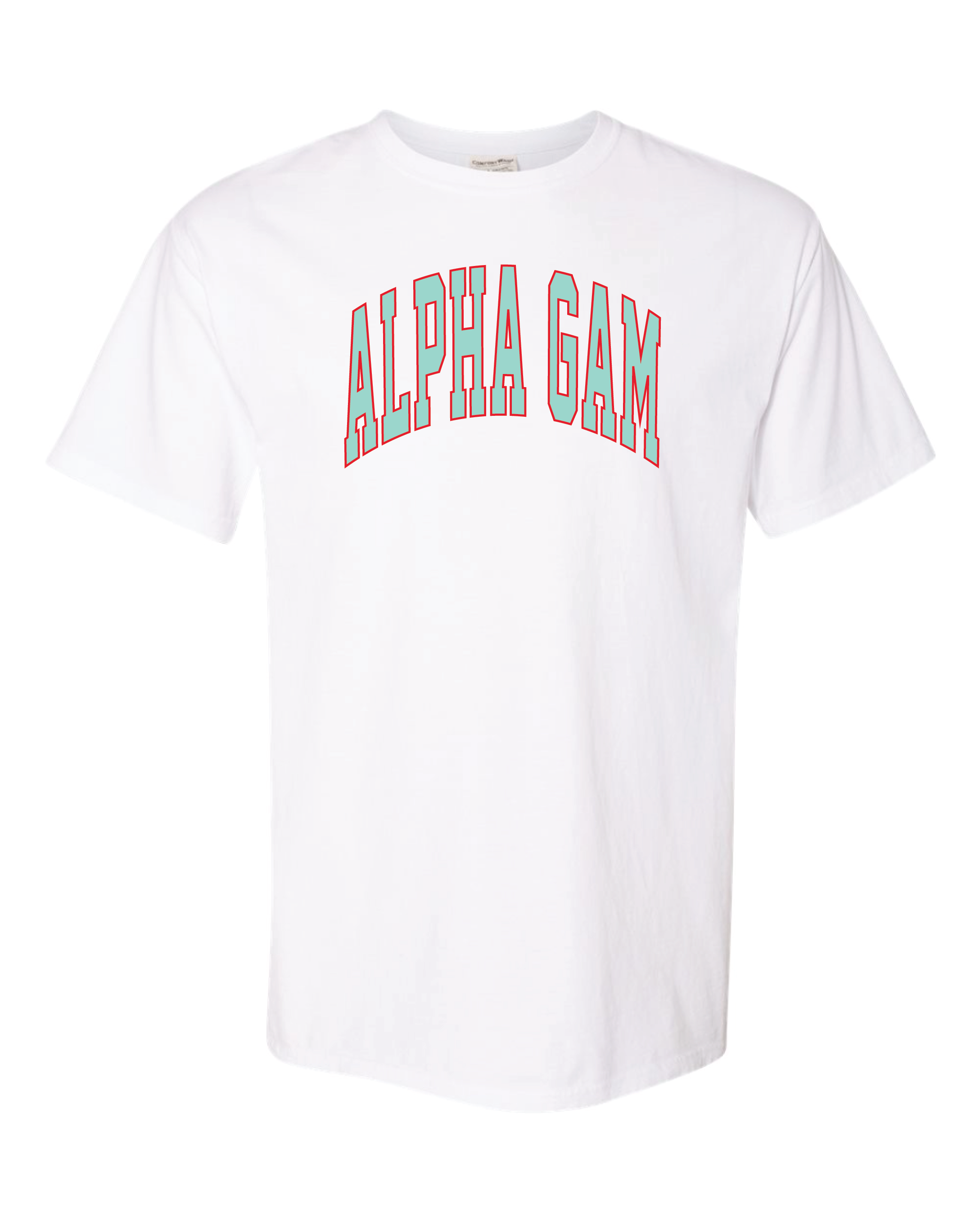 Alpha Gam Varsity Letters Tshirt