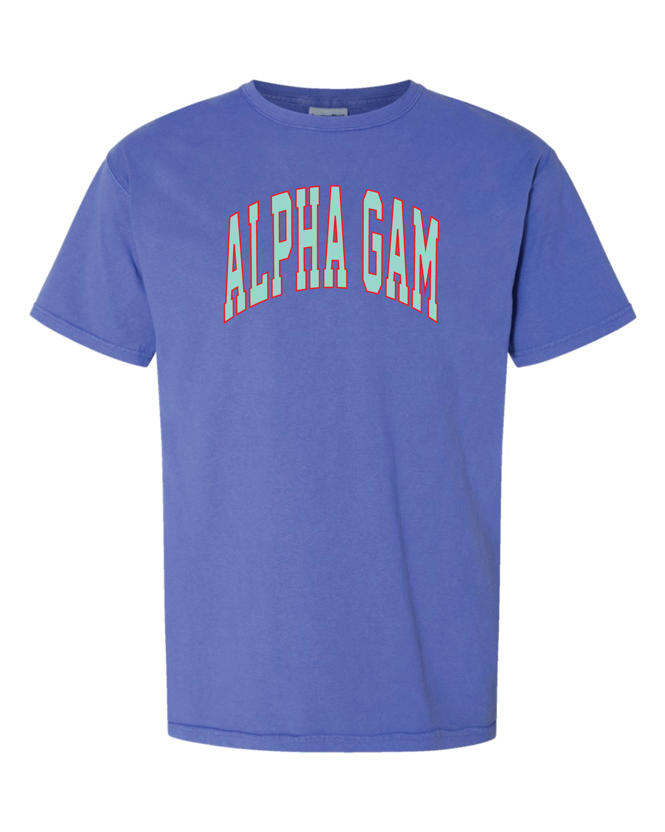 Alpha Gam Varsity Letters Tshirt